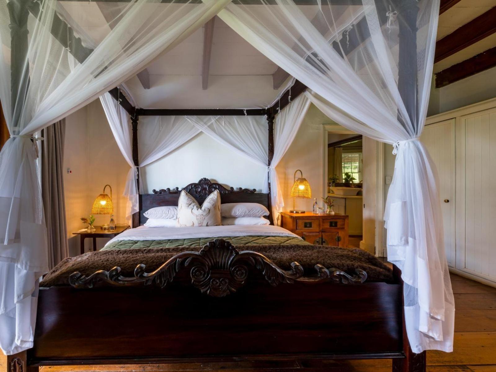 Belle Balance Bush Lodge Plettenberg Bay Room photo